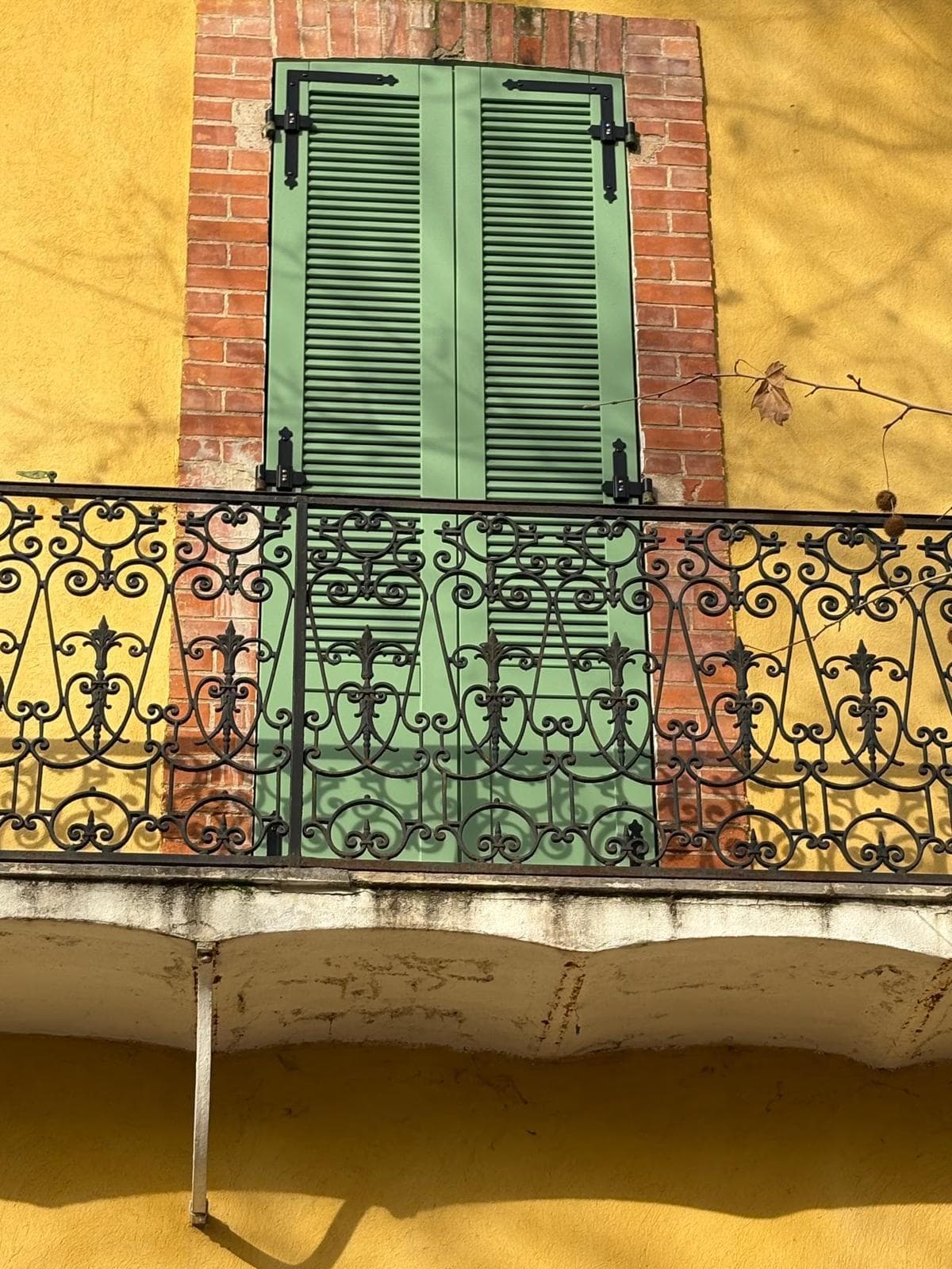 VOLET BATTANT BOIS EXOTIQUE